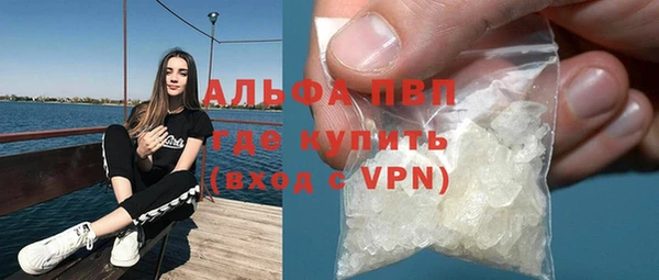 шишки Беломорск