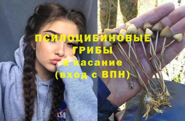 экстази Богородицк