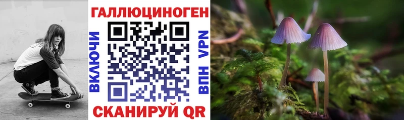 Галлюциногенные грибы Psilocybine cubensis  где продают наркотики  Канаш 