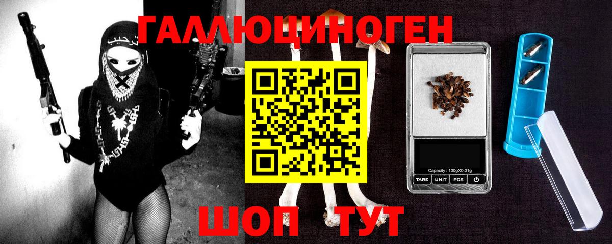 Галлюциногенные грибы Psilocybe Канаш