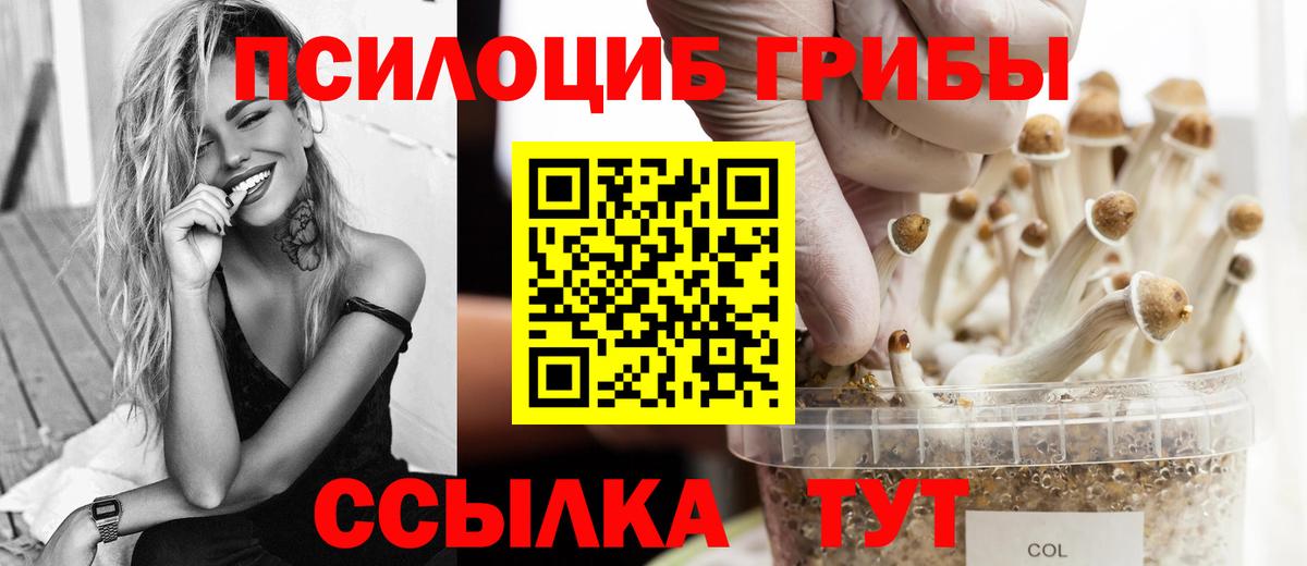 Псилоцибиновые грибы Cubensis  Вход с VPN  Канаш 