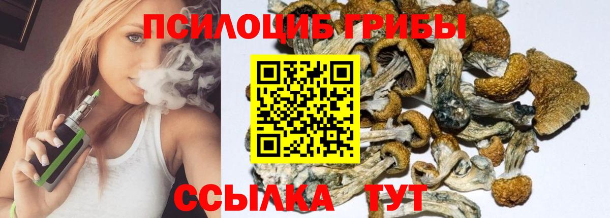 Галлюциногенные грибы ЛСД Канаш